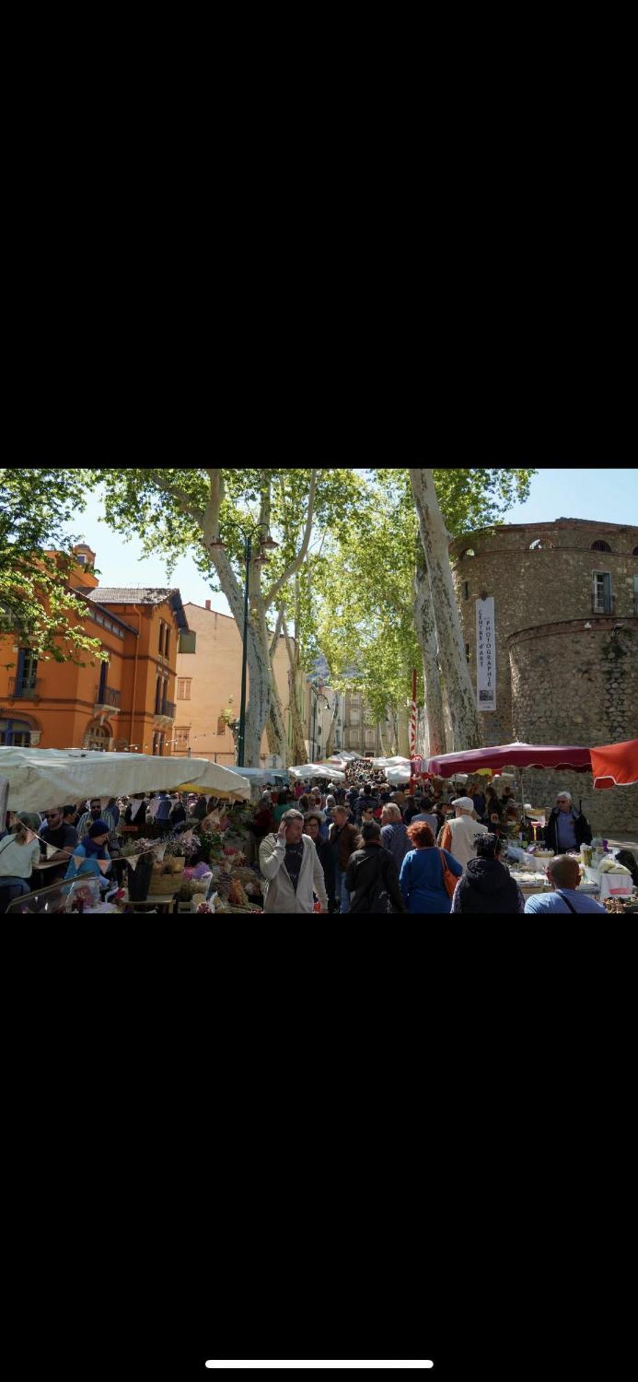 Maison De Vacances Le Bosquet Ceret Bagian luar foto